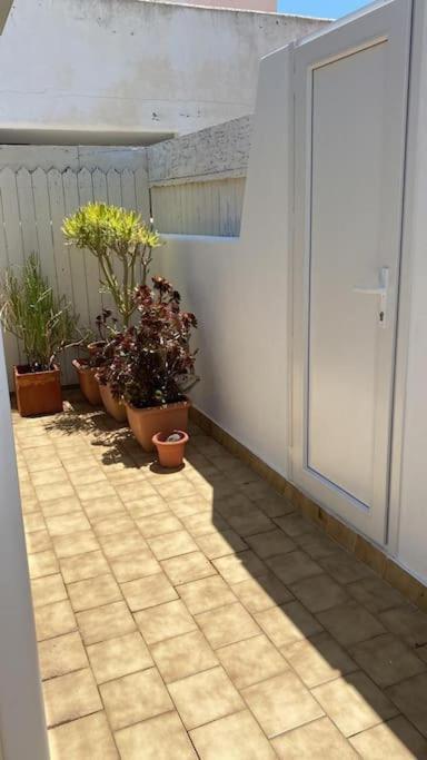 Galeria Tres Pinos Apartman San José Kültér fotó