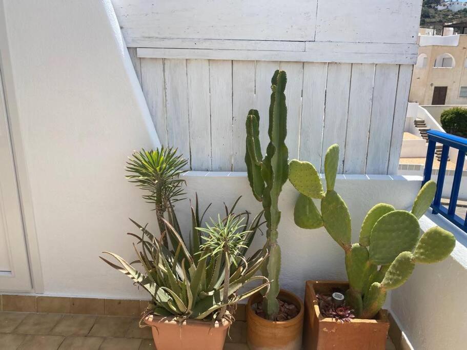 Galeria Tres Pinos Apartman San José Kültér fotó